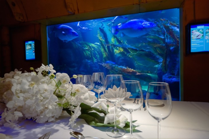 Aquadom SEALIFE Gala Dinner